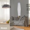 Bulbrite 40W Equivalent Amber Light ET25 Dimmable LED Grand Filament Tubular Shaped Nostalgic Light Bulb 776301